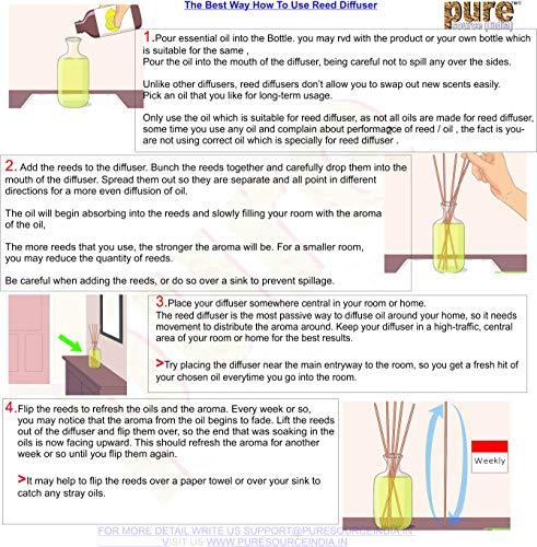 Pure Source India Pure Source India Reed Diffuser Oil Apple Cinnamon - 100 Ml, Reed Sticks - 8 Pieces, Natural White