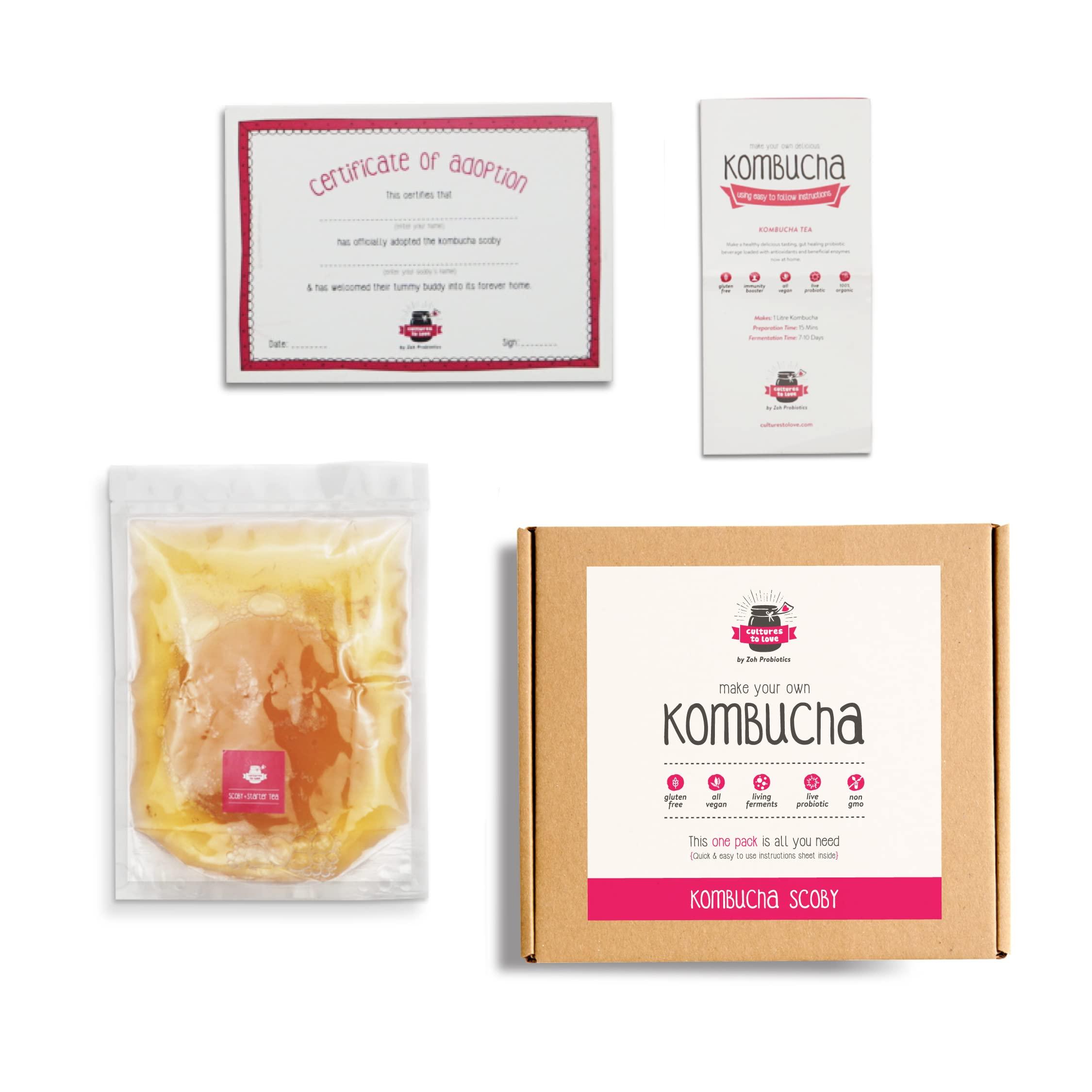 Zoh Zoh Probiotics Kombucha Scoby - Starter Culture With Mother - Live, Raw And Unfiltered - Diy Make Endless Batches- Lab Tested - No Vinegar Or Artificial Flavours Added