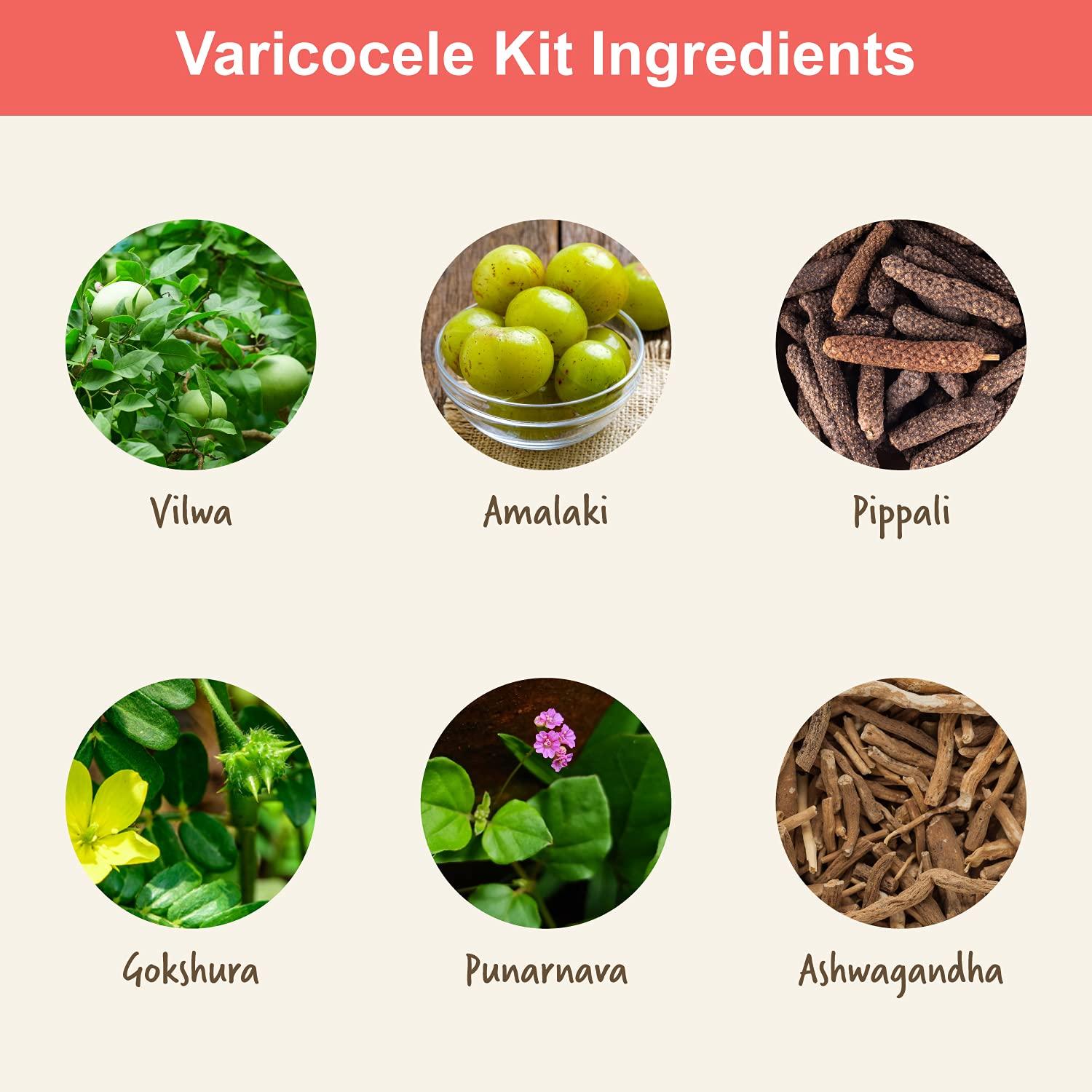 Nirogam Nirogam Varicocele Kit - 4 Products Pack