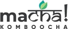 Macha! Macha! Komboocha - Kombucha Standard Flavor-Organic Probiotic Refreshment-Reenergizing Fermented Tea-Preservatives free Energy Drink, 275 ml (Pineapple Punch, Pack of 4)
