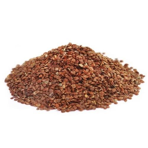 3V PRODUCTS 3V PRODUCTS Dried Neermulli Seeds - Pack of 2x100g (Raw) Talmakhana Seed | Kokilaksha | Marsh Barbel | Hygrophila Auriculata Seed (Whole)