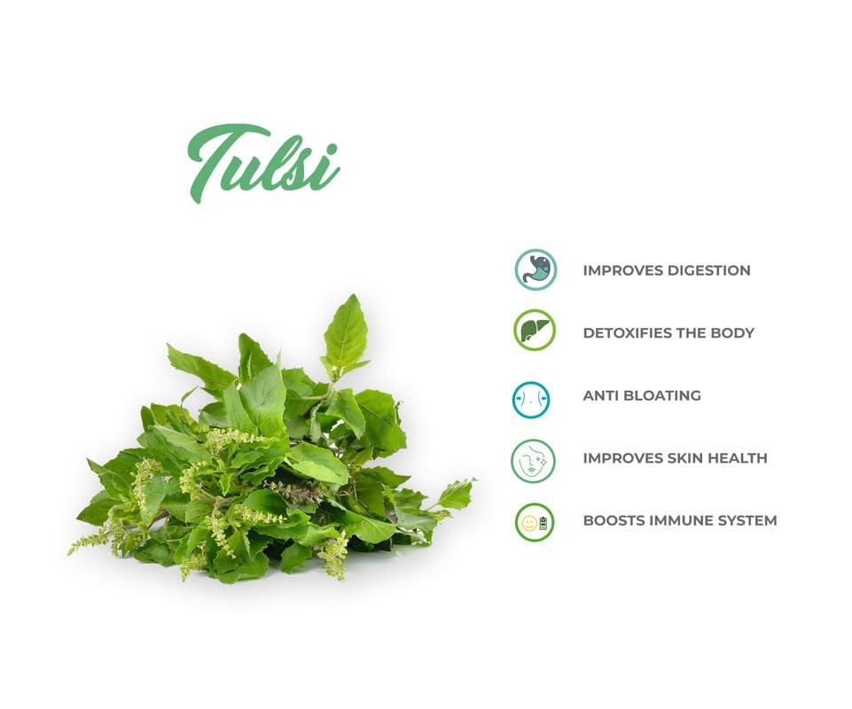 Indopharma Industries Indopharma Industries Refreshing Kombucha Green Tea, for Holistic Wellness, Inner Balance, and Vitality, Natural detoxifying, Gut Friendly Kombucha Drink (Tulsi, Pack of 1)