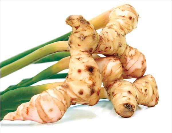 Generic Sitharathai | Kulanjan | Lesser Galangal | Chitharathai - 50 Grams