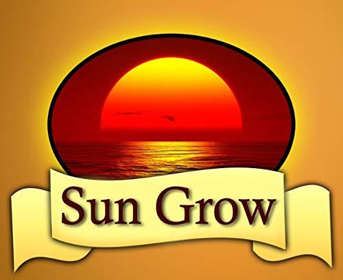 Sun Grow Sun Grow Organics Harad Murabba | 100% Fresh Harad with Homemade Taste & Pure Natural Healthy (900 Gram)