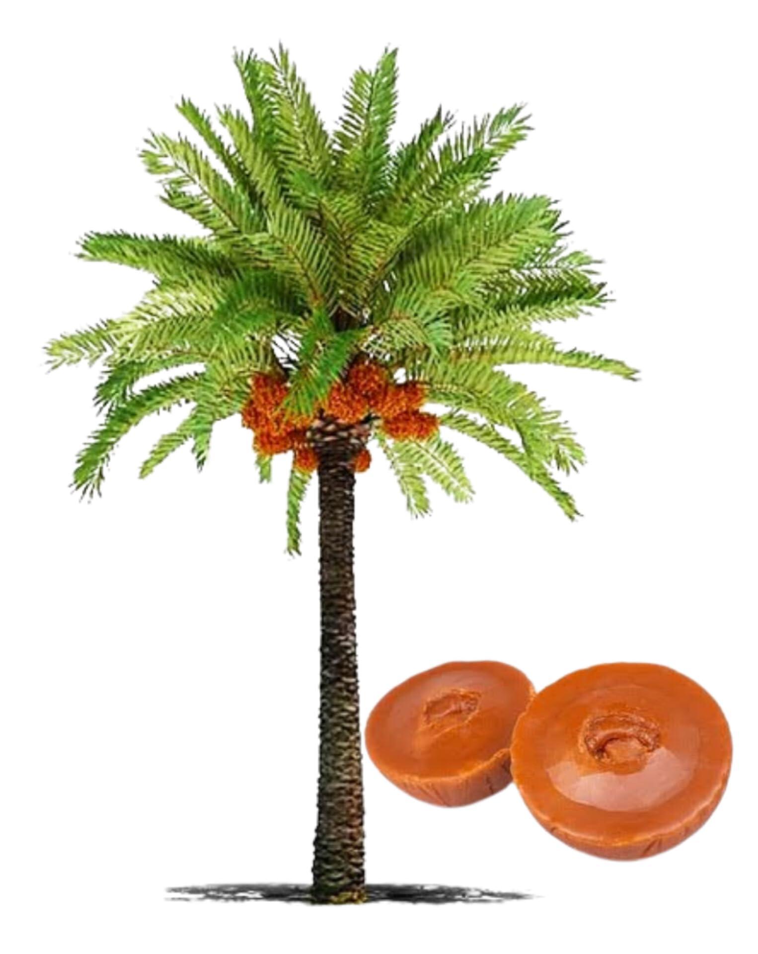 Sadikul Islam Mollick FINDLINE 100% Rural Made Natural Premium Pure Organic Khejur Gur Patali/Khajur Patali Gur/Date Palm Jaggery-(Khejur Gur 500 Grams)