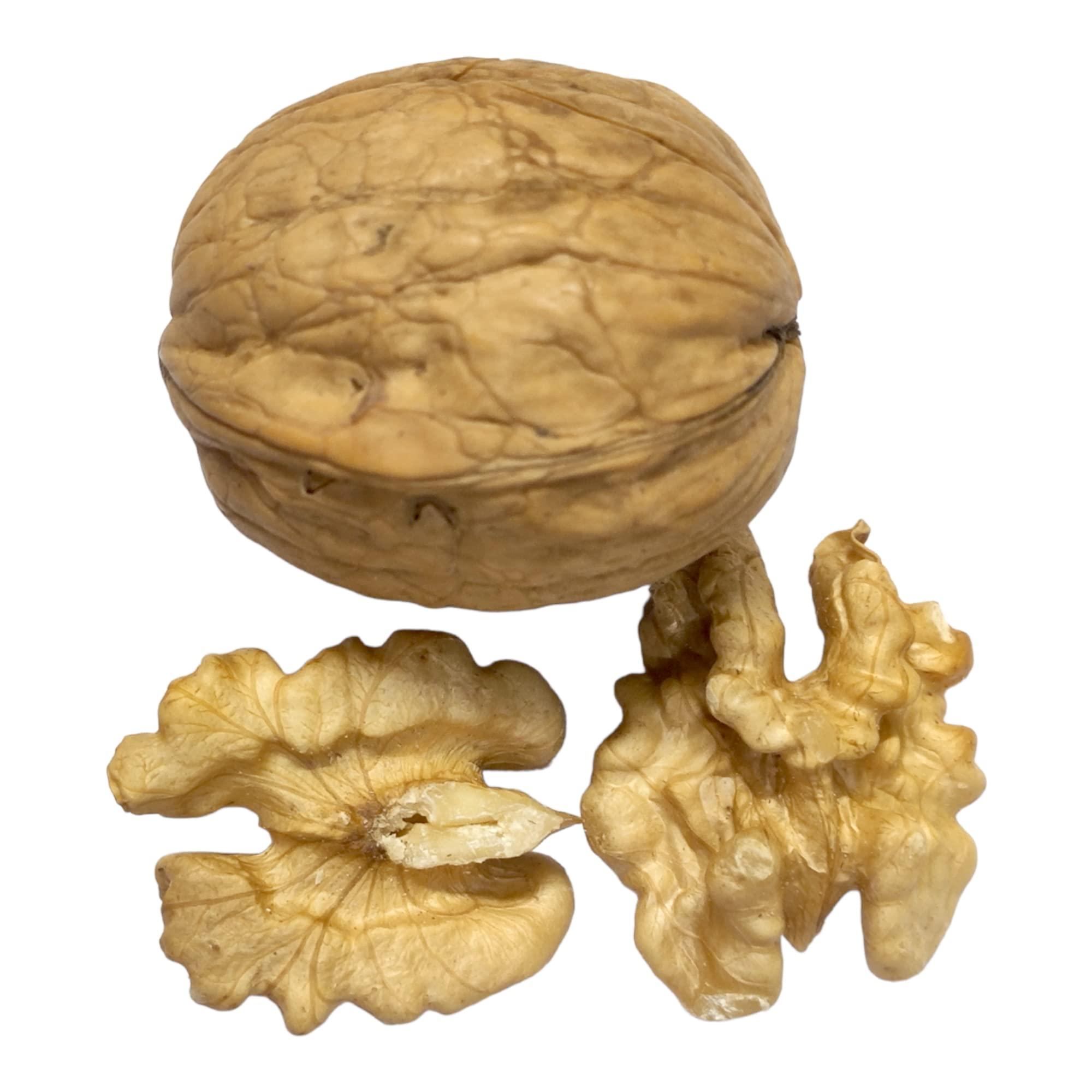 Dry Fruit Hub Dry Fruit Hub Chilean Walnut 500gm Without shell Grade 1, Akrot, Akhrot Without Shell, Acrot Kernels,Akrut, Akhrot Giri, Walnut Kernels