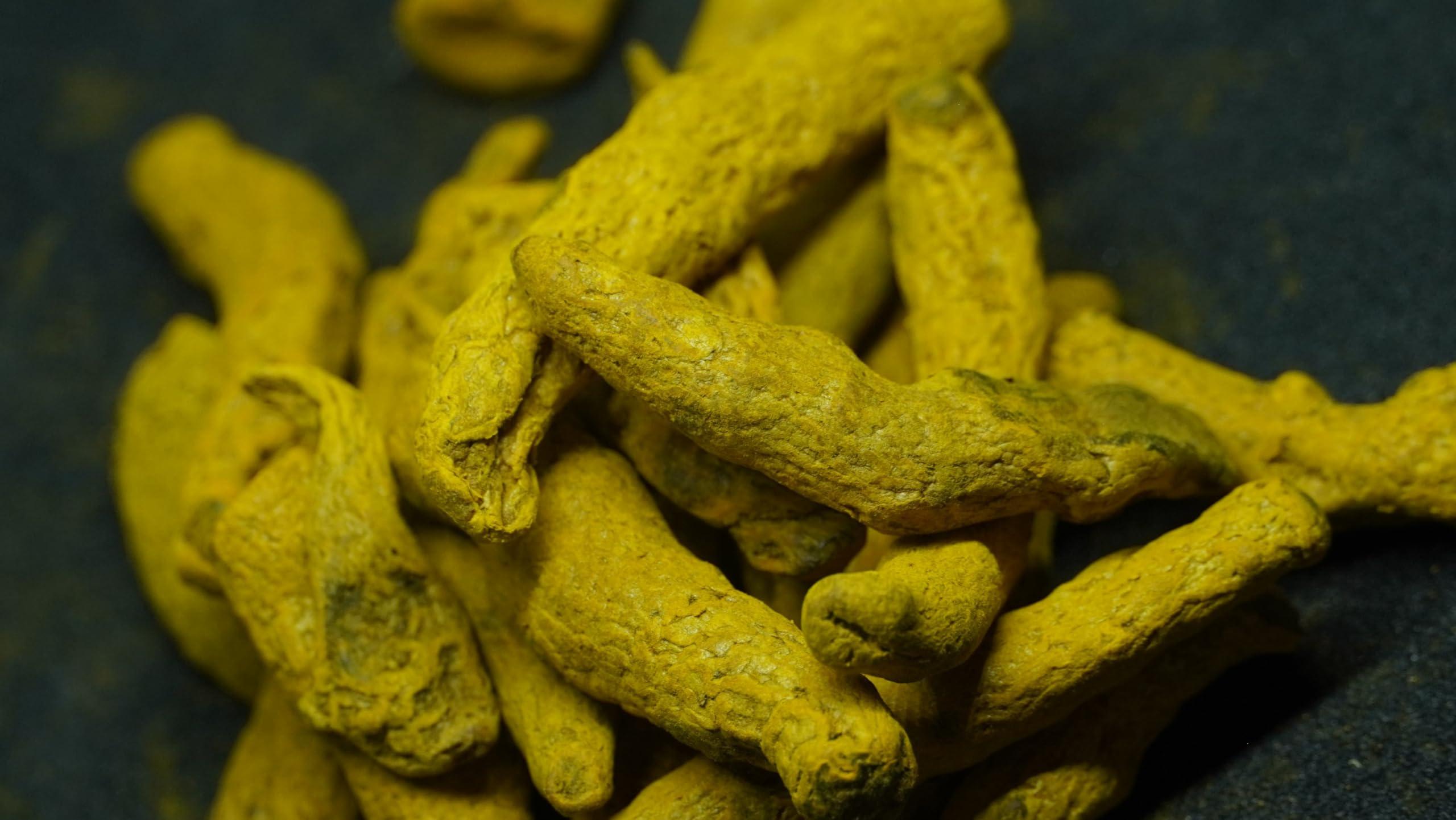 THOGAI THOGAIS -VIRALI MANJAL-Curcuma Longa/Turmeric/ / Virali Manjal/Haldi/Manjal/Pasupu (100 GRAMS (PACK OF 1))