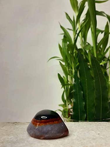 The Healing Store The Healing Store Shiva Eye Stone