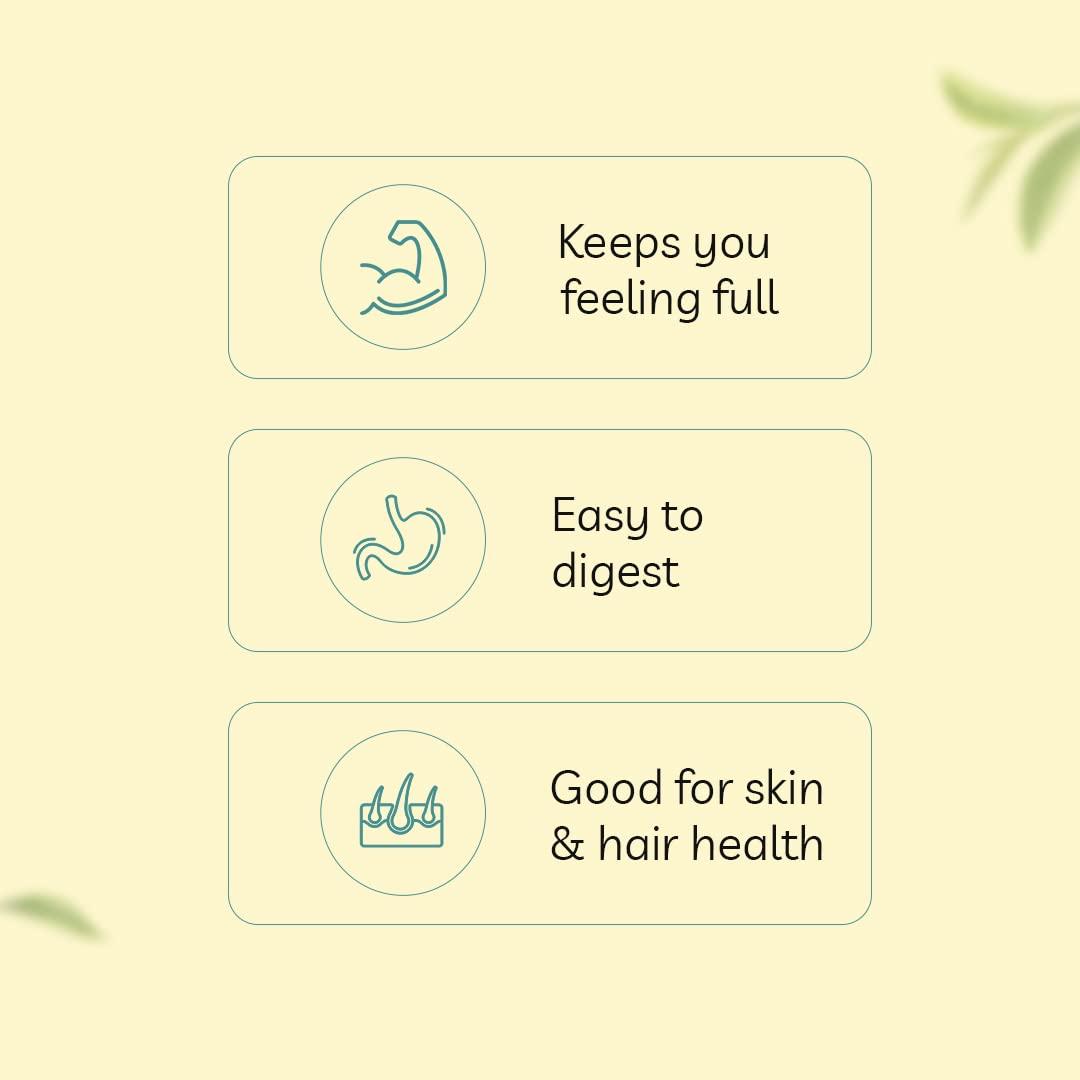 PVL PVL Gold Series Whey Gold Protein Powder Triple Chocolate Brownie Overloaded (1 Lbs)