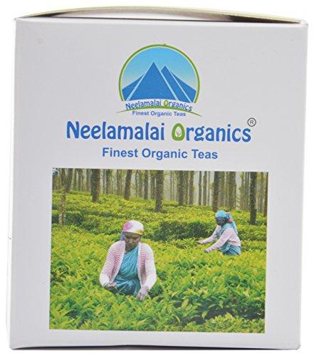 Ootea Green Tea Bags (25 Tea Dip Bags, Pack of 2)