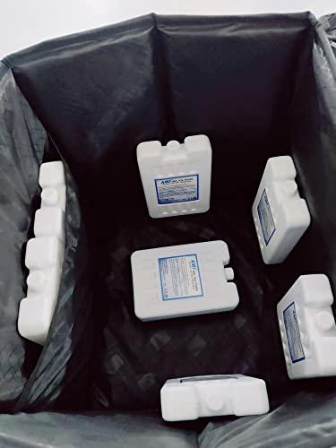 Ami AMI Gel Ice Pack Pads for Ice Box Pack of 2 x 400 gms each CE ISO Certified