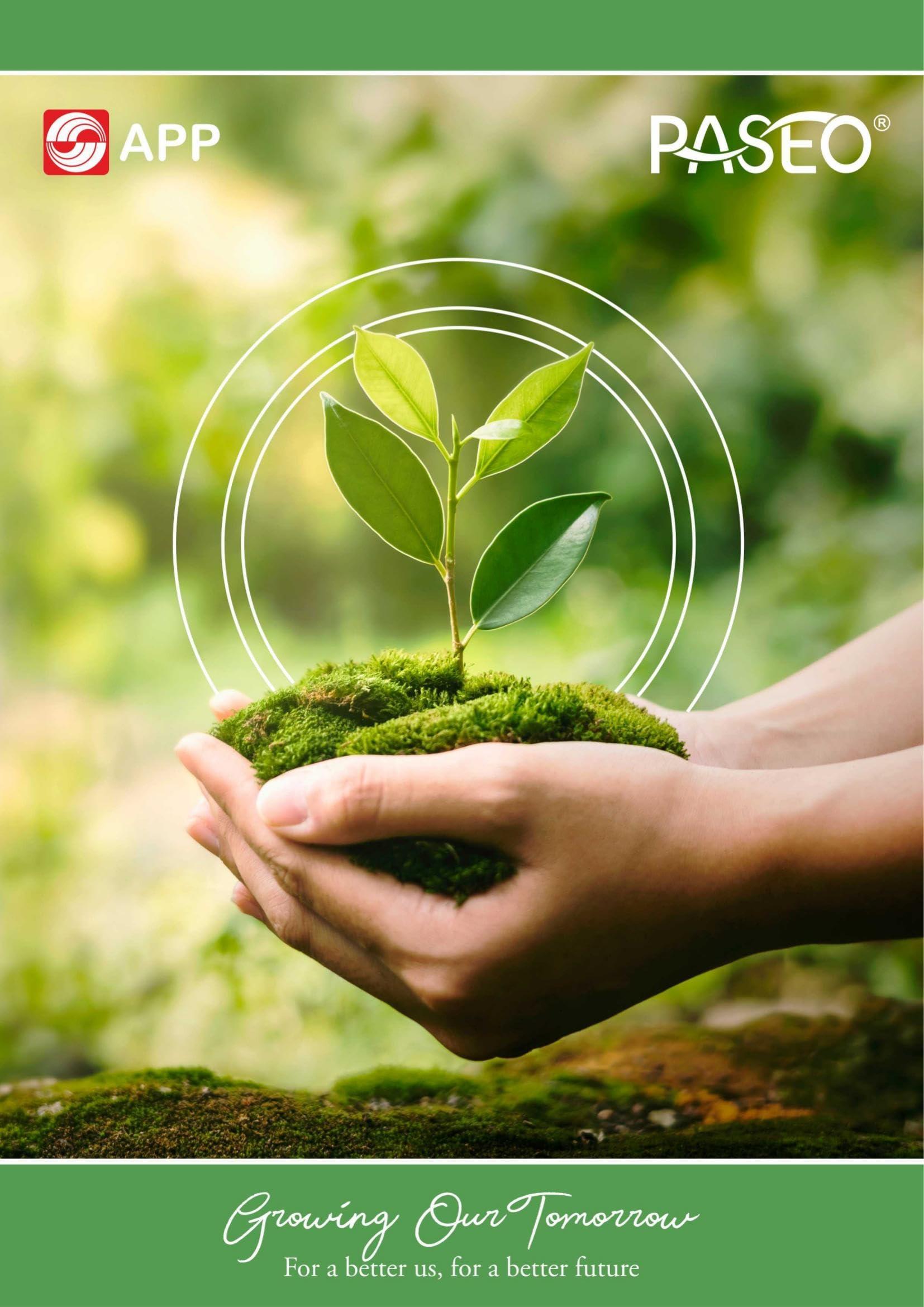 PASEO Paseo Toilet Tissue 2 ply Toilet Paper 10 Toilet Rolls x 200 Toilet Tissue Sheets Sheet Size 11 x 9.9 cm