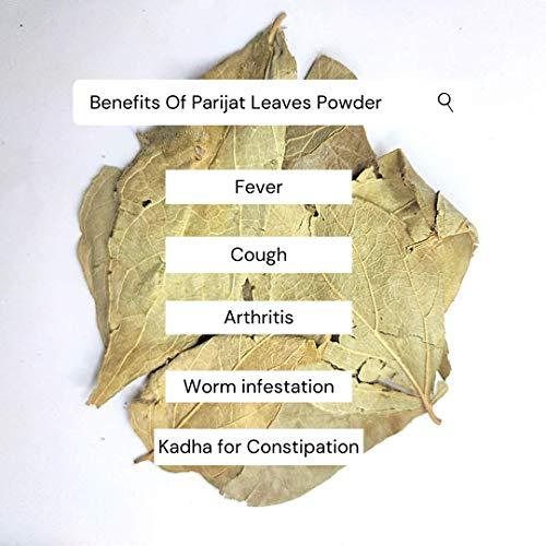 Generic Parijatak Pan Powder-Harsingar Patti Powder-Paarijaat Leaf Powder-Parijatak Leaves Powder-Harshingar Patta-Nyctanthes Arbor-Tristis (100 Gms)