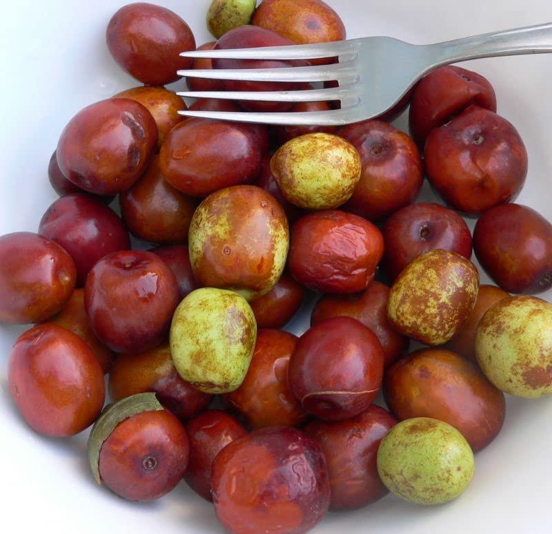 Generic AYYAPPAA FOODS - Green (SWEET) | Elantha Vadai Sweet | Jujube Seeds | Pack of 1, 5, 10 (10)