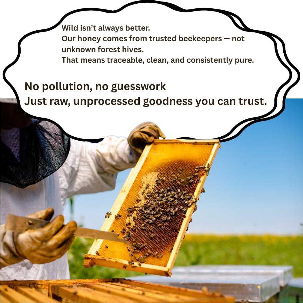 Canistel Canistel Raw Unprocessed Beri Honey | 100% Pure & Natural | Premium, Authentic & Unadultrated | No Added Preservatives | 600 Grams (Glass Jar)