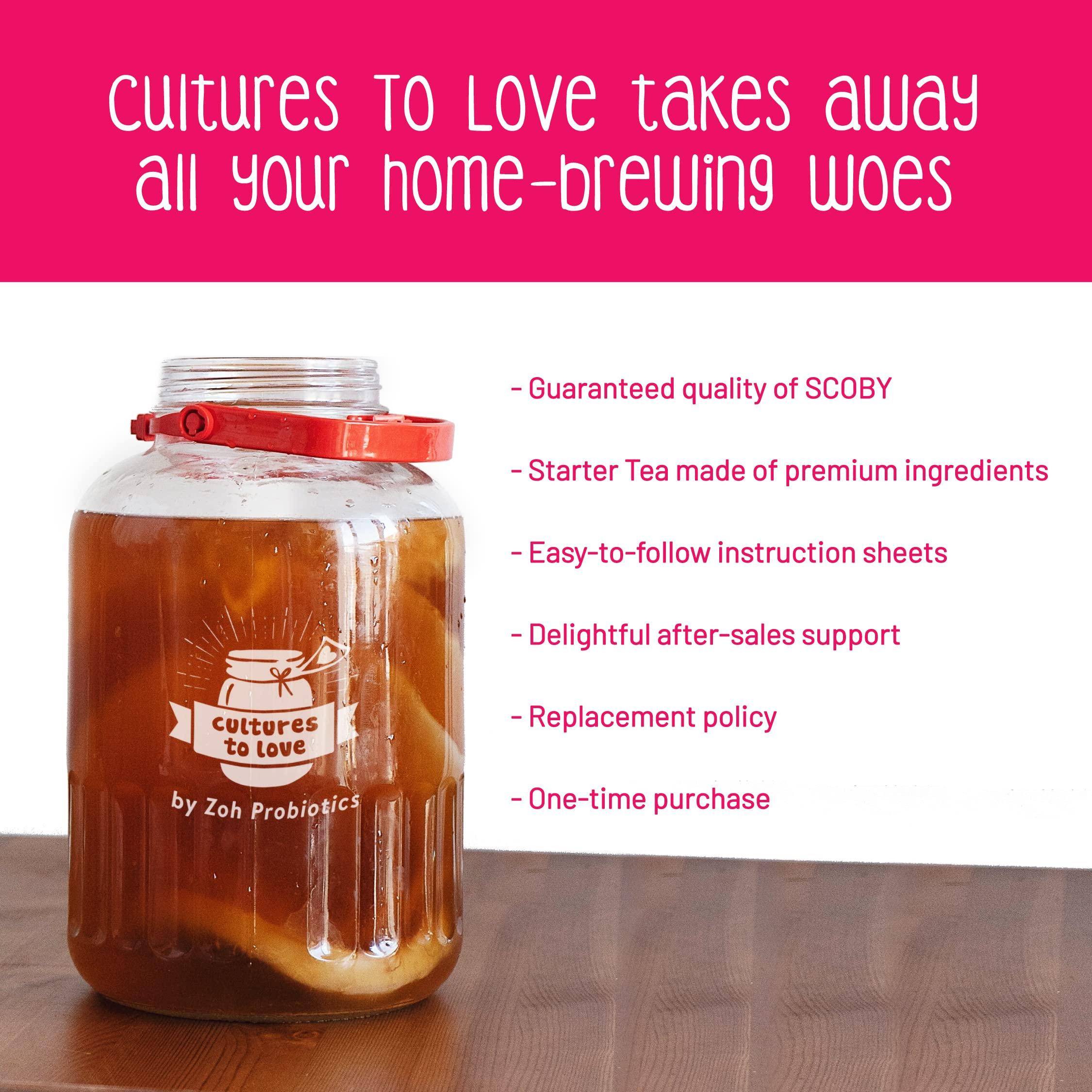 Zoh Zoh Probiotics Kombucha Scoby - Starter Culture With Mother - Live, Raw And Unfiltered - Diy Make Endless Batches- Lab Tested - No Vinegar Or Artificial Flavours Added
