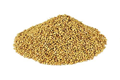 Vaidik Vaidik Organic Coriander Whole, Coriander seeds, Whole dhaniya, Whole Coriander seeds (400 Gram)