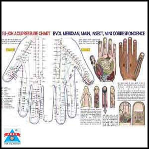 ANCS ANCS Sujok Byol Magnet Medium 5mm (60pc)