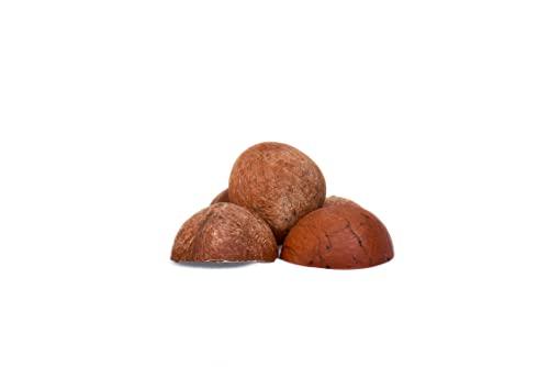 HAYYAN HAYYAN Own Farm Chemical Free Sun dried Half Coconuts (Copra) - Dry Coconut Halves | Sabut Gota | Khopra | Copra | Sukha Nariyal - 400 gms