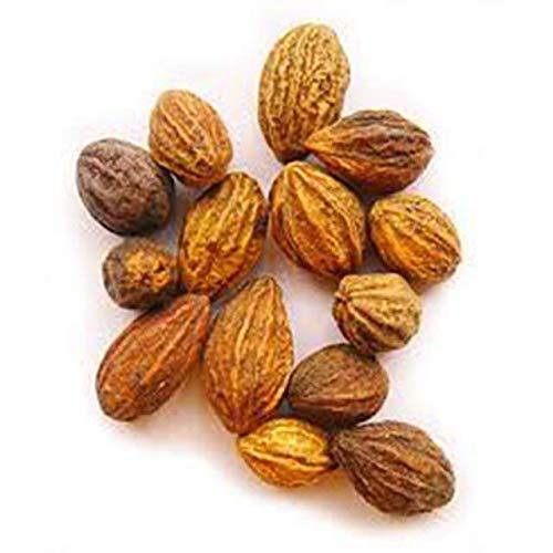 Karolane KAROLANE Peeli Harad Harida Haritaki Terminalia Chebula 150g