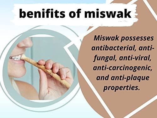 Billion Deals Natural Traditional Miswak (sewak) Peelu Chewing Stick Toothbrush for Whiter Teeth (3)
