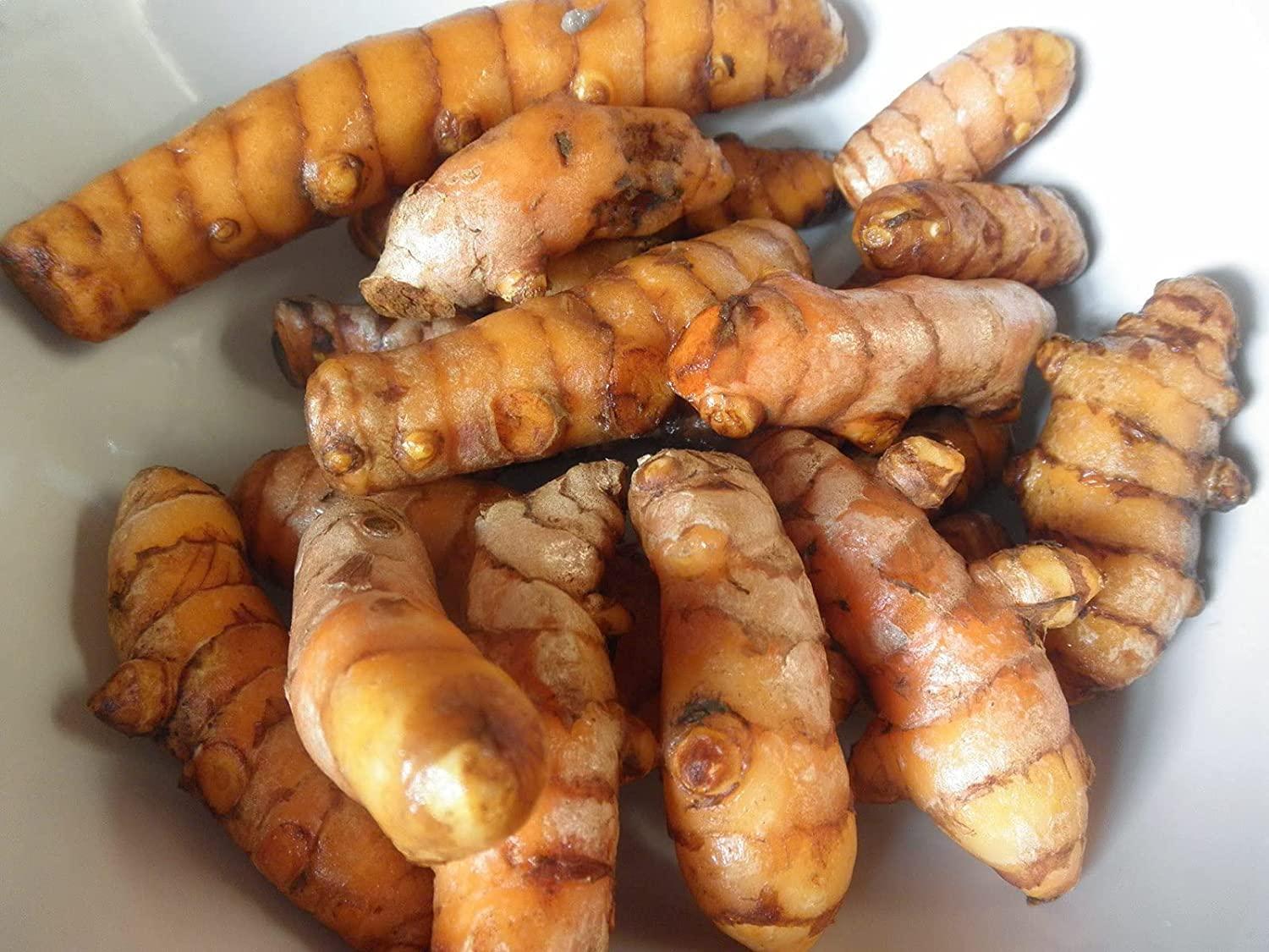 Generic Sitharathai | Kulanjan | Lesser Galangal | Chitharathai - 50 Grams