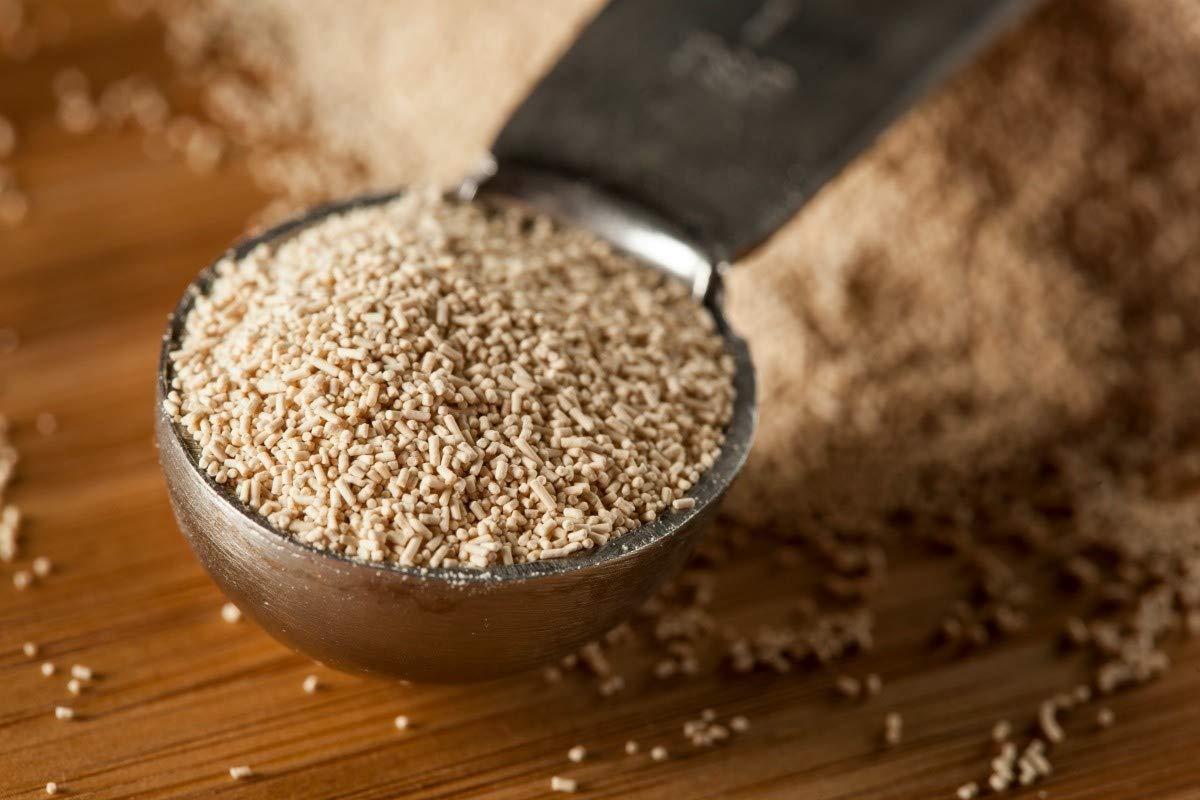 FreshoCartz FreshoCartz Instant Active Dry Yeast | Instant Yeast | Khamir | khameer Powder for Baking, Bread, Cake, Pizza & Dough (900gm)