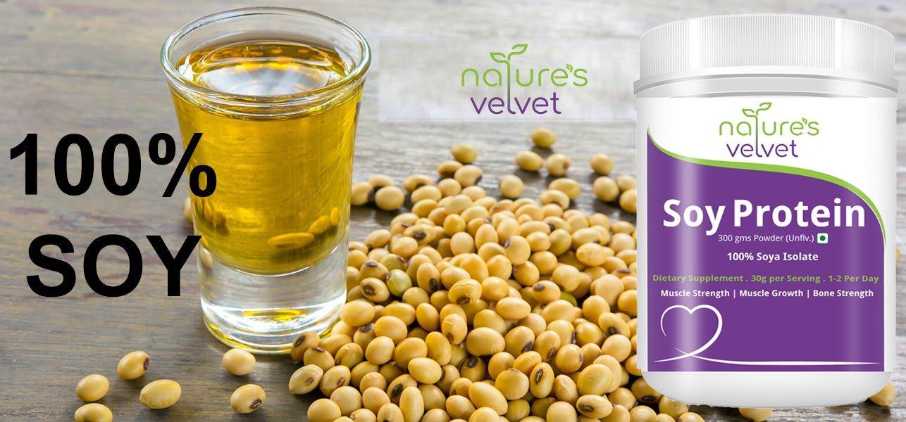 nature's velvet Natures Velvet Lifecare Soy Protein, Vegetarian and Natural, 300 gms - Pack of 1