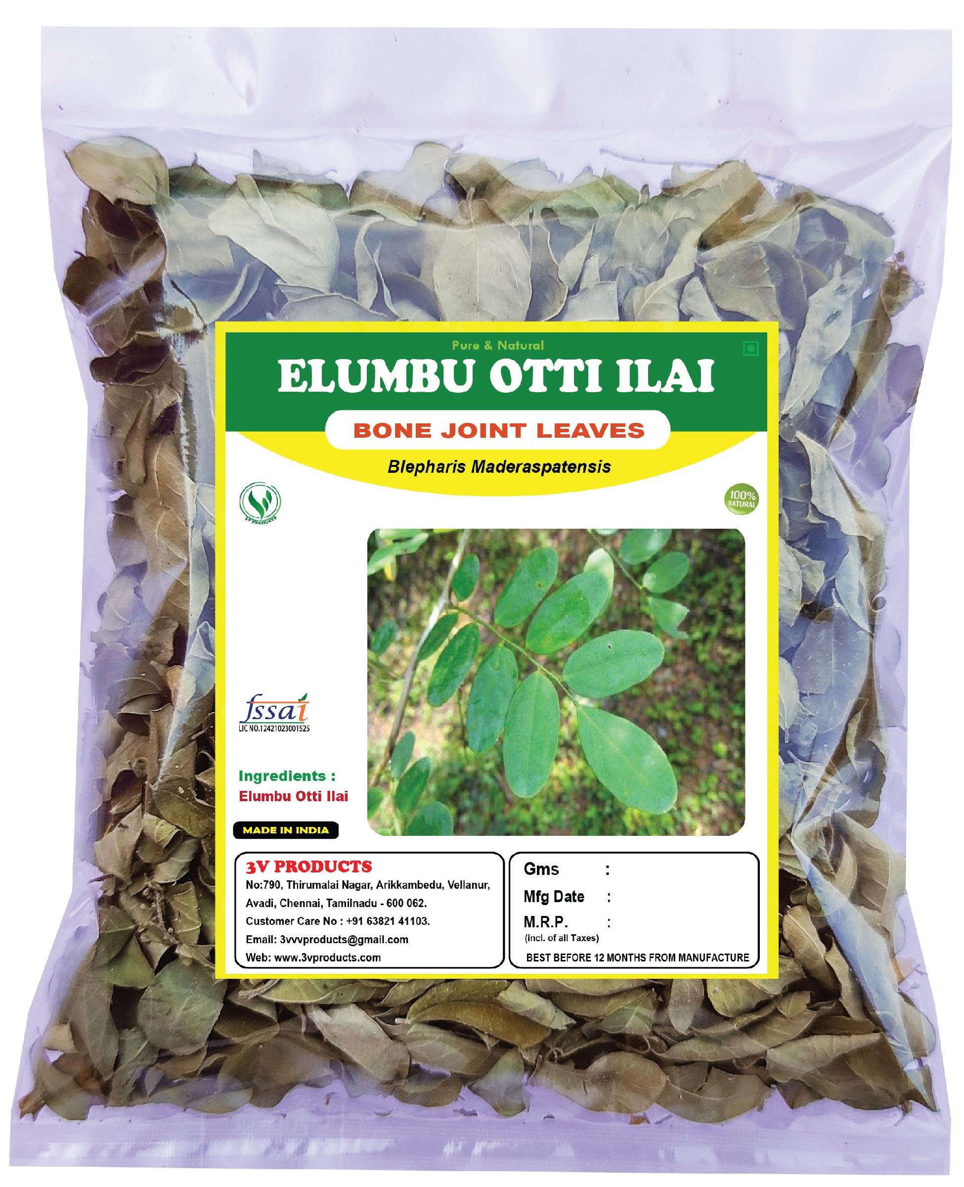 3V PRODUCTS 3V PRODUCTS Organic Dry Elumbotti ilai (Leaves) | Bone joint Leaves | Murikootipacha for Bone fracture | Joint Pains 50g
