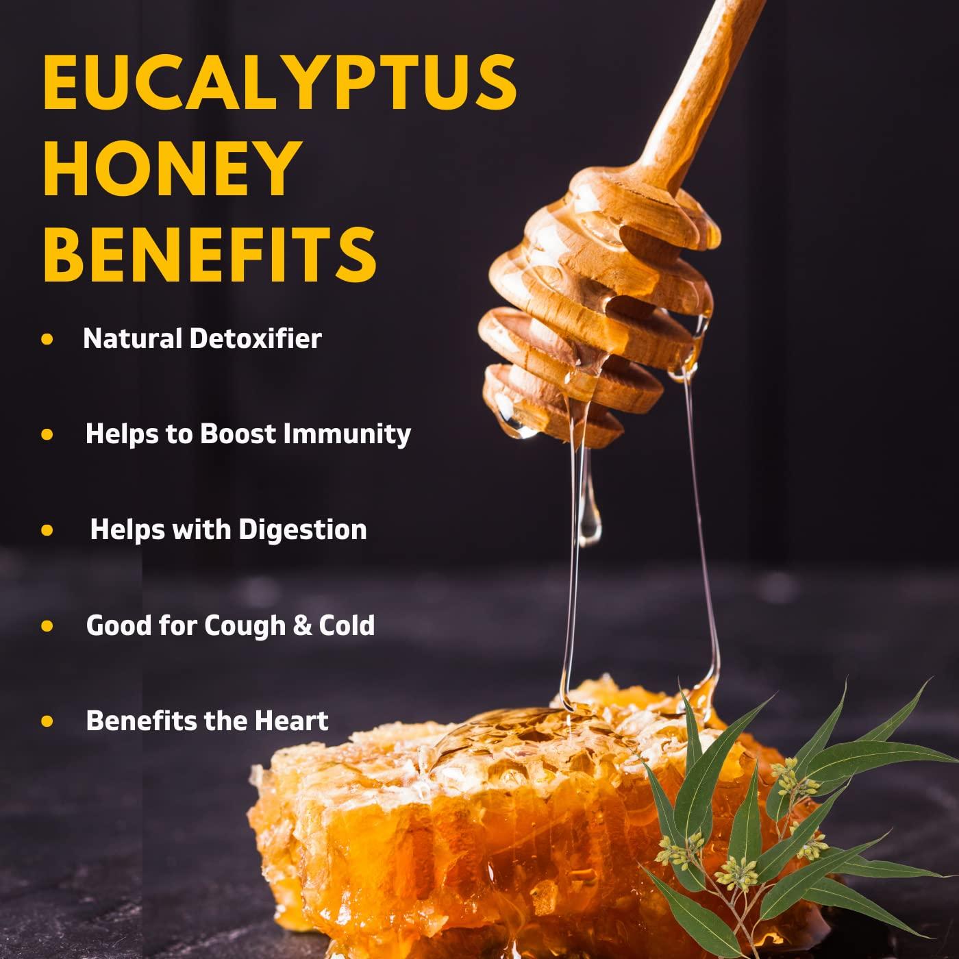 NUTTY YOGI Nutty Yogi Eucalyptus Honey 500 Gm, 100% Natural, Fresh from Forests, Healthy & Delicious, No Artificial Color/Flavour | 100% Pure Wild Forest Organic Honey