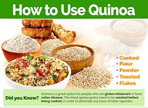 MARWAR Marwar Quinoa Seeds (Natural Organic, White, Protein Rich & Gluten Free Super-Food) 1 kg