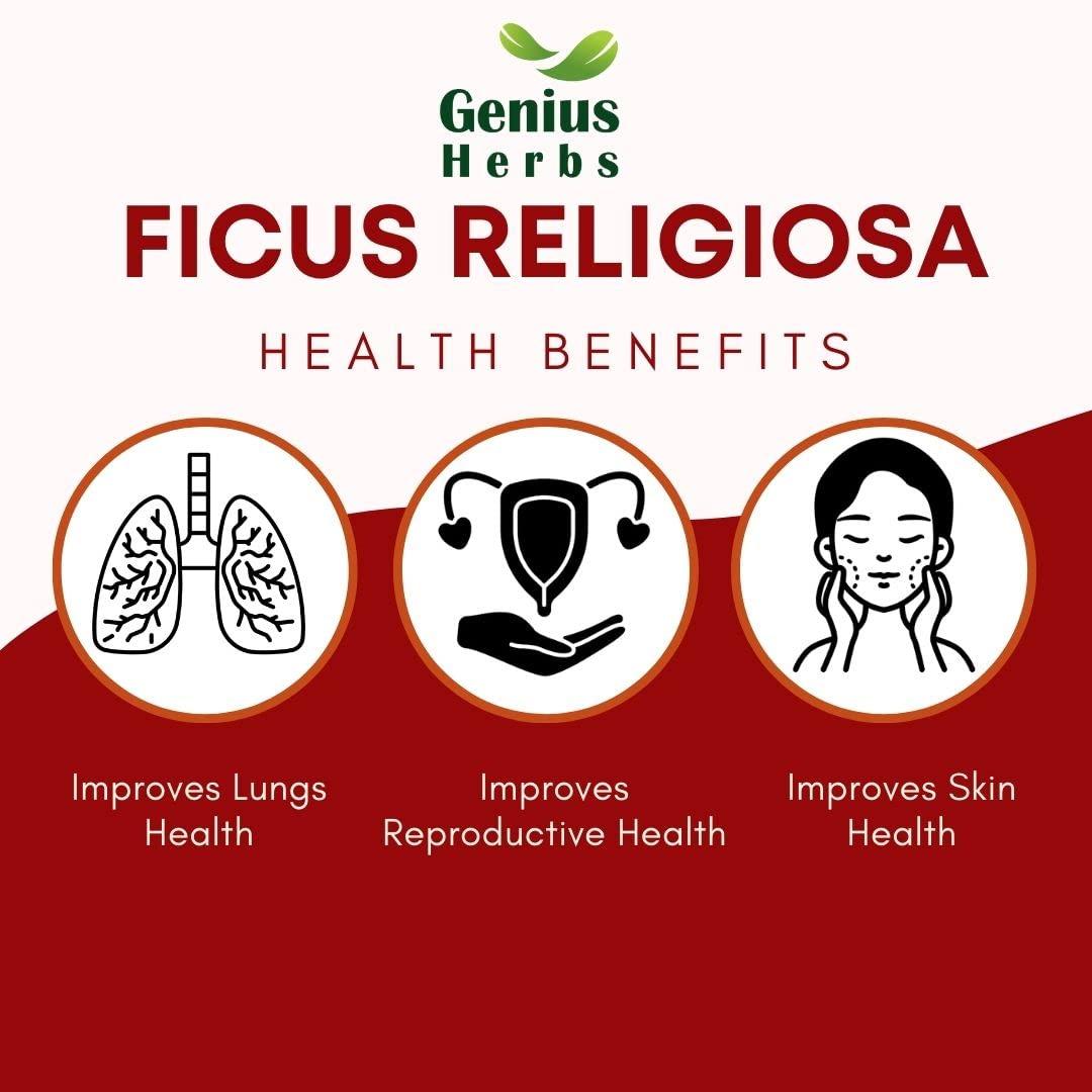 Genius Herbs Genius Herbs Ficus Religiosa leaf Powder | Peepal Leaves |Arasa Ilai Powder | 200 g Pack of 1