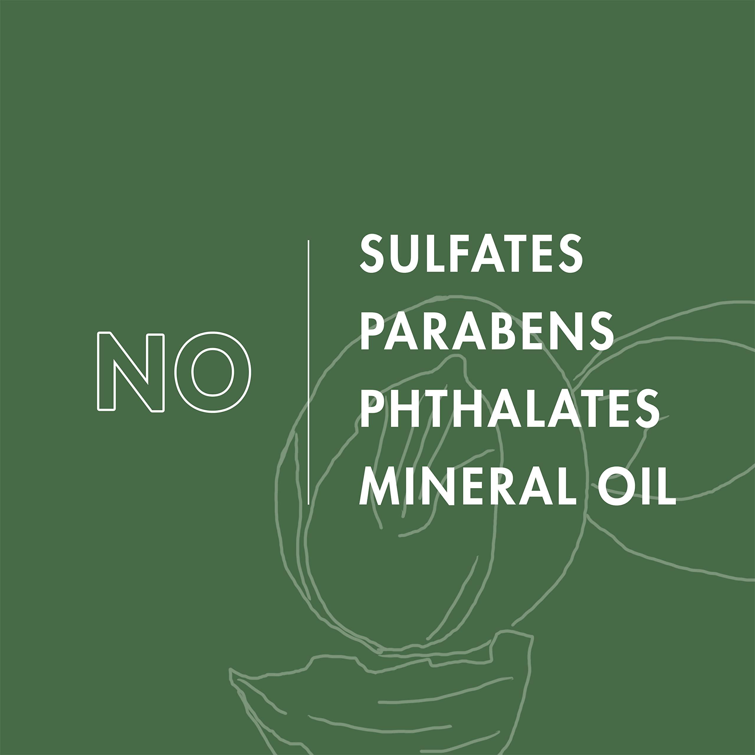 SHEA MOISTURE SheaMoisture Maracuja & shea butter full beard detangler, 4 Fluid Ounce