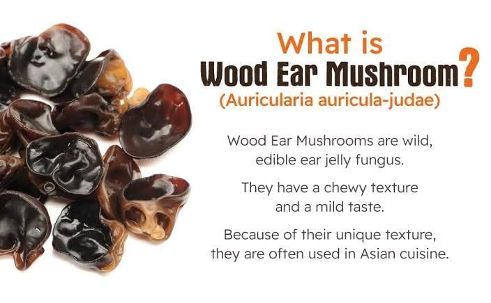 Generic Wood Ear Mushroom Culture size 18 * 150mm Test Tube (1pc) Best Quality