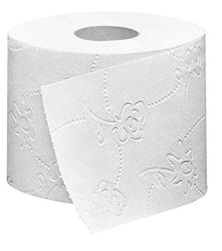 Dannu Toilet Tissue Paper (Set of 2), 2-ply Soft Absorbent,