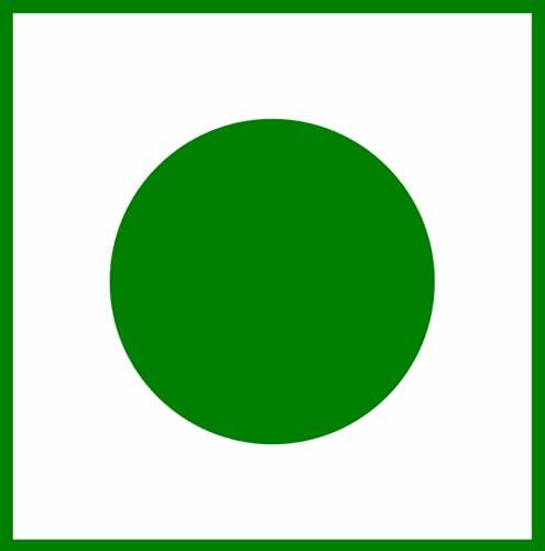 DAILY FOOD DAILY FOOD Homemade Apple Murabba, Organic Dry Indian Gooseberry No Added Sugar or preservatives. (800 Gm)