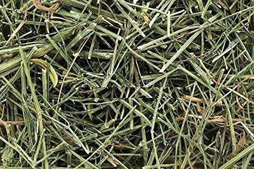 Organicgreen Herb Organicgreen Herb Chirayta Chiraita Chiretta Bitter Stick Swertia Chirata Dry (200GM)