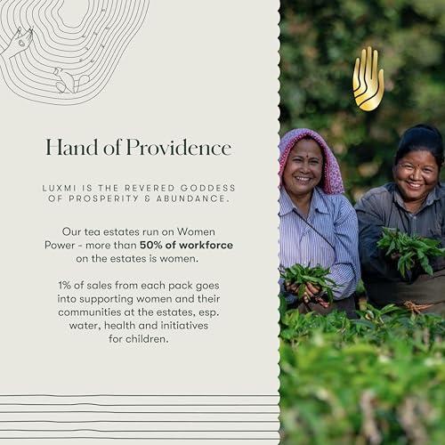 LUXMI LUXMI Estates Masala Chai Powder 100Gm Pack | Chai Adda-Bari | Organic Black Tea | Strong, Robust & Aromatic Masala Chai | Indian Spice Chai Enriched With Cinnamon & Cardamom | Energy Booster