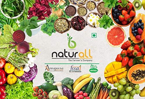 B Naturall B Naturall Pack of 2 - Red Onion Powder 500 GM & Garlic Powder 500 GM Combo Pack