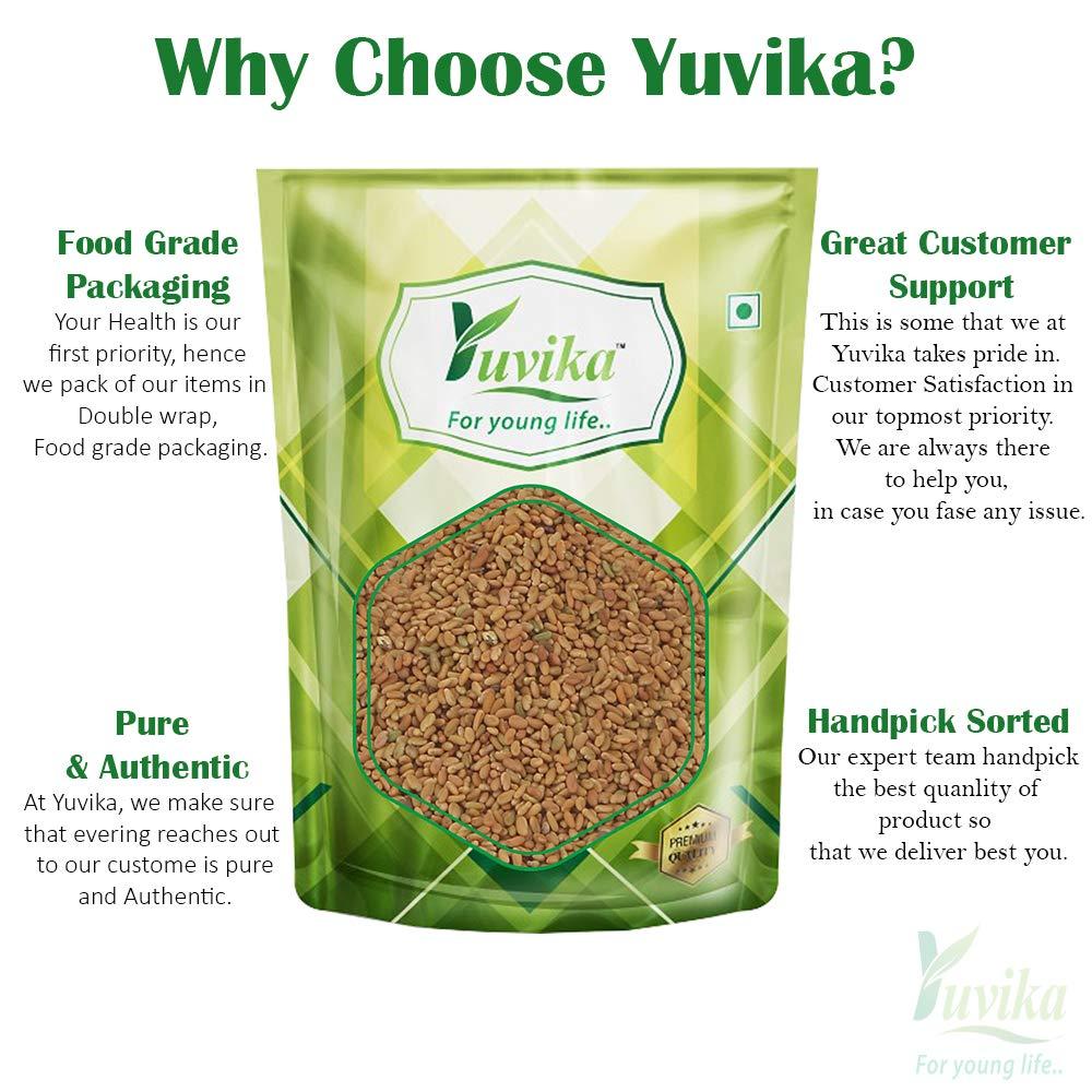 Yuvika YUVIKA Kasuri Methi Seeds - Champa Methi (100 Grams)