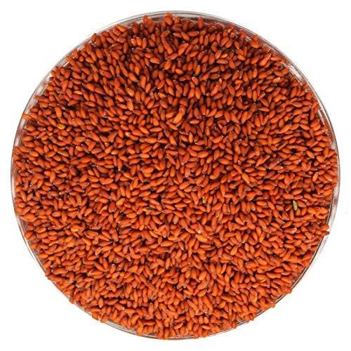 3V PRODUCTS 3V PRODUCTS Halim Seeds 50g | Asaliya Seeds | Aliv Seeds | Garden Cress | Haleem Seeds