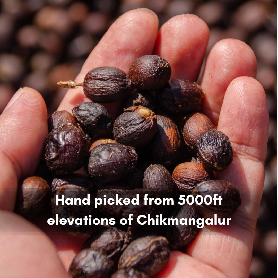 BAARBARA BERRY Baarbara Coffee |Roasted Whole Beans Vienna Roast - Dark Roast |From Chikmagalur Farms Since 1896 (250 gms)