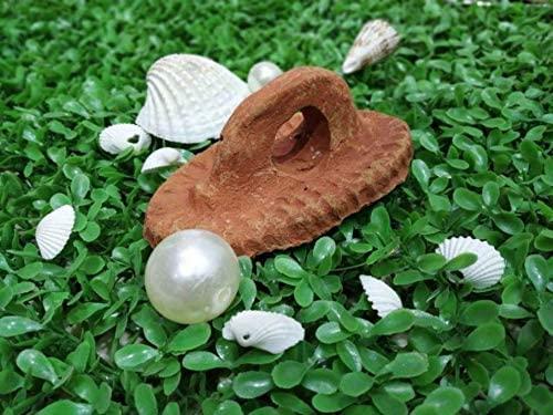 Clay Clash Natural Pumice Stone Foot Scrubber | Handmade Organic Clay | Eco-Friendly | Dead Skin Remover | Women Men Unisex | Pack of 4