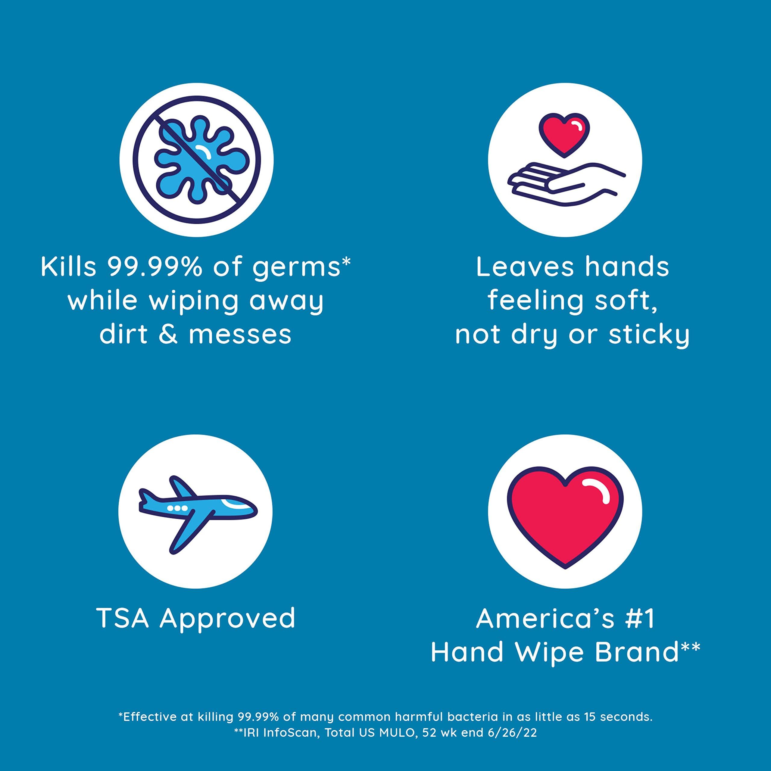 Wet Ones Wet Ones Antibacterial Hand Wipes, Fresh Scent (40 Sheets per Canister)