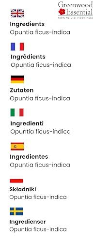 GreenHB Herbal Lymph Care Patch, 10 Pcs, Lymphatic Drainage Patch Neck Lymph Node Anti-Swelling Patch Sticker Lymphatic Drainage with Ginger Oil Help to Remove Swelling and Pain Relief