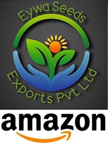 Eywa Seeds & Exports Pvt Ltd Eywa Seeds & Exports Pvt Ltd Organic Black Wheat Flour For Eating & Cooking | Best For Disease (High Blood Sugar Otas) Patient | Non-Gmo | Antioxidants | Very Good For Health (2 Kg)