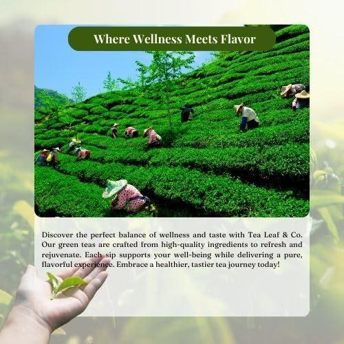 Tea Leaf & Co. Tea Leaf & Co. Sweet Hibiscus Cinnamon Green Tea (30 Pyramid Tea Bags Pack of 2) | Improves Immunity | Antiseptic Properties | Boost Sleep Quality - Brew Hot Tea or Iced Tea