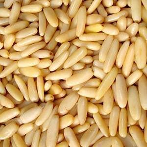 AAFARIN AAFARIN PREMIUM AFGHAN FRESH PINE NUTS WITHOUT SHELL ( CHILGOZA / CHIGOJE MAGAZ / NEZE ) (250 GRM)