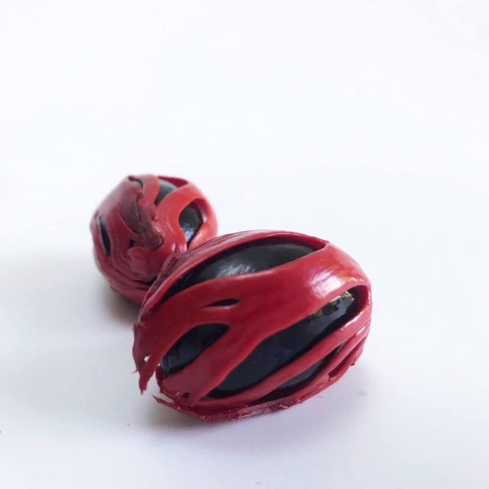 Kuruvinakunnel Tharavadu Farms Nutmeg Mace (Organically Grown | Single Origin | Farm To Table) 20 gms