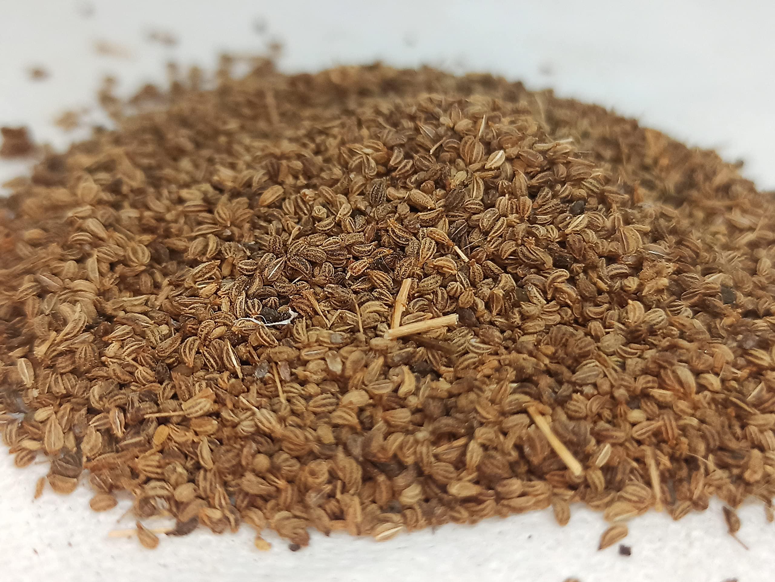 Generic NATURALIFES-*OMAM*- / Ajowan Caraway Dried / I Trachyspermum Roxburghianum I / Khurosani OMAM I / Khurosani Ajowan Seeds I Ayamodakam (250 Grams)